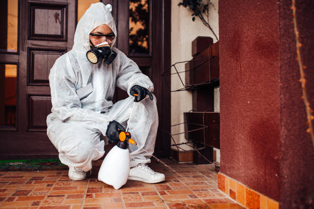 Reliable Bed Bug Control contractor in Garwood, NJ by Nex Pest Control