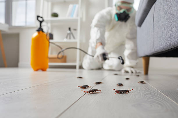Trusted Termite Control service in Garwood, NJ - Nex Pest Control