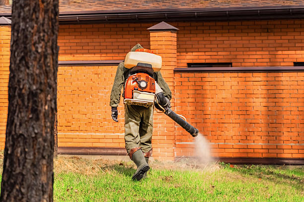 Trusted Mosquito Control service in Garwood, NJ - Nex Pest Control